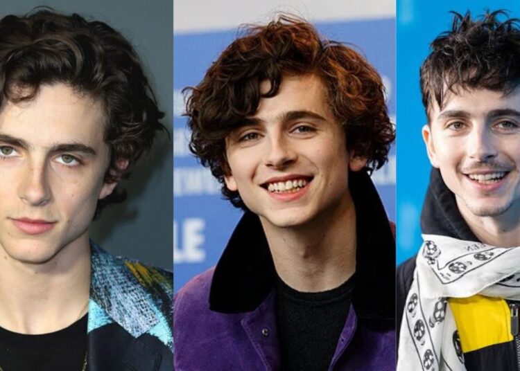 timothée chalamet age and height